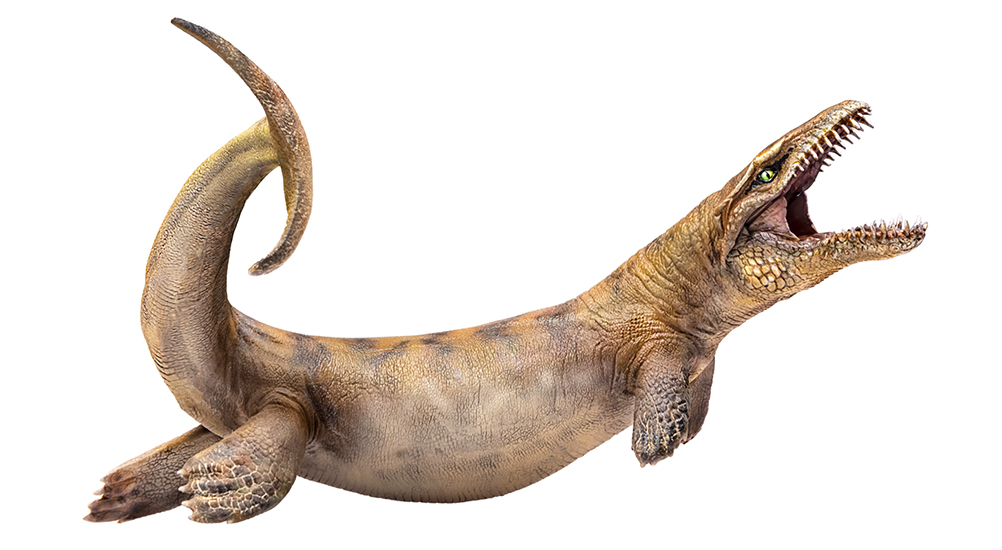 PNSO Dakosaurus Model Dinosaur Figure Toy 13CM 