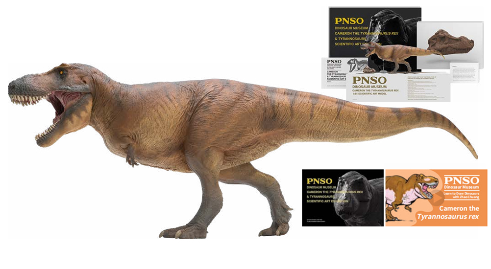 Cameron the T. rex Dinosaur Model is Reviewed